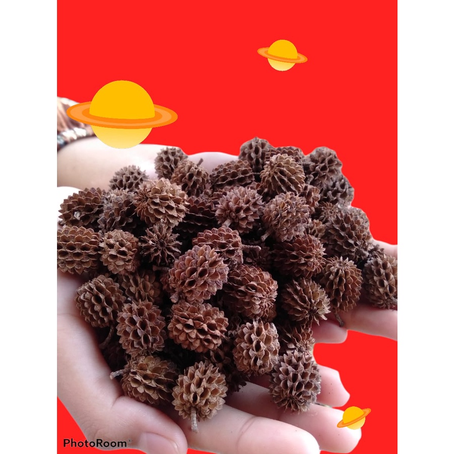 KOMPLITBunga Kering Rustic Bunga Kering Hiasan Parcel Bunga Kering Hiasan Kamar Bunga Kering Hiasan 