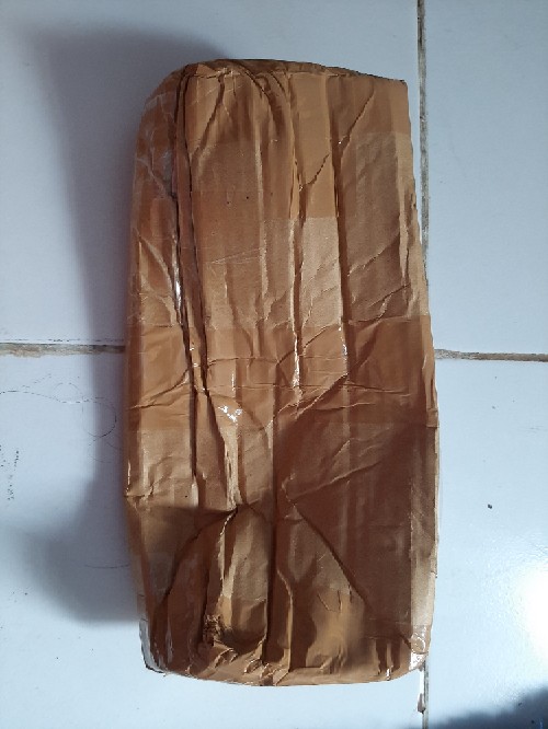 Bibit Tanaman Bunga Mawar Mini Pink I Babyrose Pink