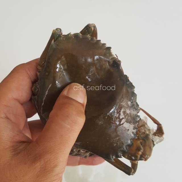 

Kepiting Soka /Cangkang Lunak