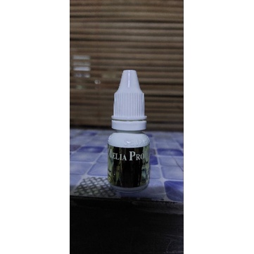 Melia Propolis dan Melia Biyang