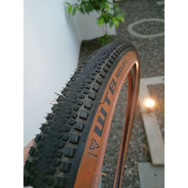 Ban Luar WTB Riddler 700x45c