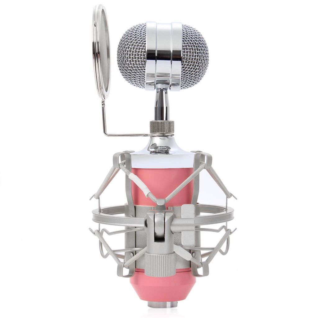 microphone Mikrofon Kondenser dengan mik Shock Proof Mount mic mix - BM-8000