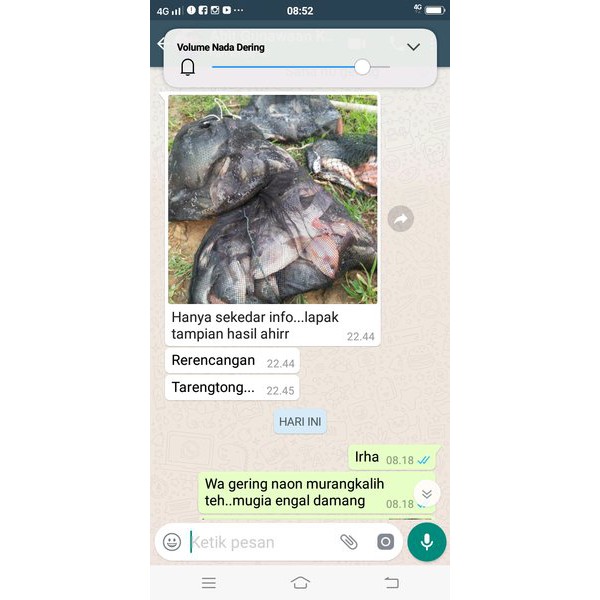 jual essen ikan garung merk jawara