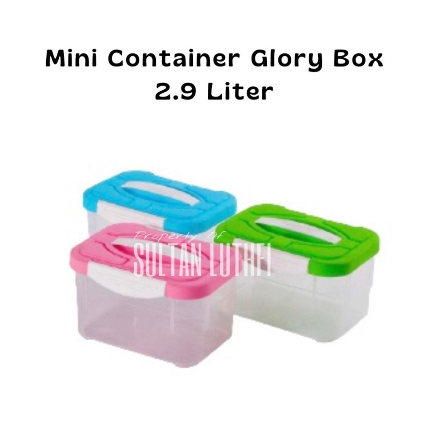 Mini Container Glory Box 2.9 Liter