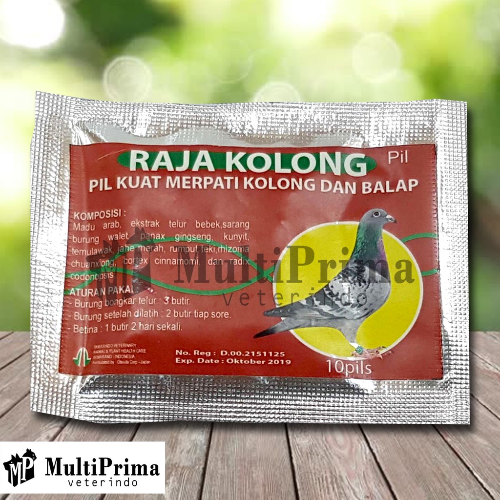 Obat Suplemen Kuat Burung Merpati Kolong & Balap - RAJA KOLONG - 10 Pil