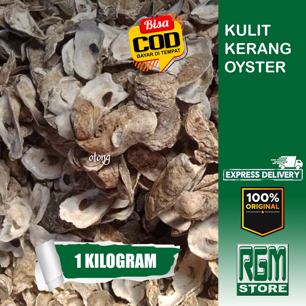 oyster kulit kerang 1 KILOGRAM 1KG media filter kolam aquarium ikan