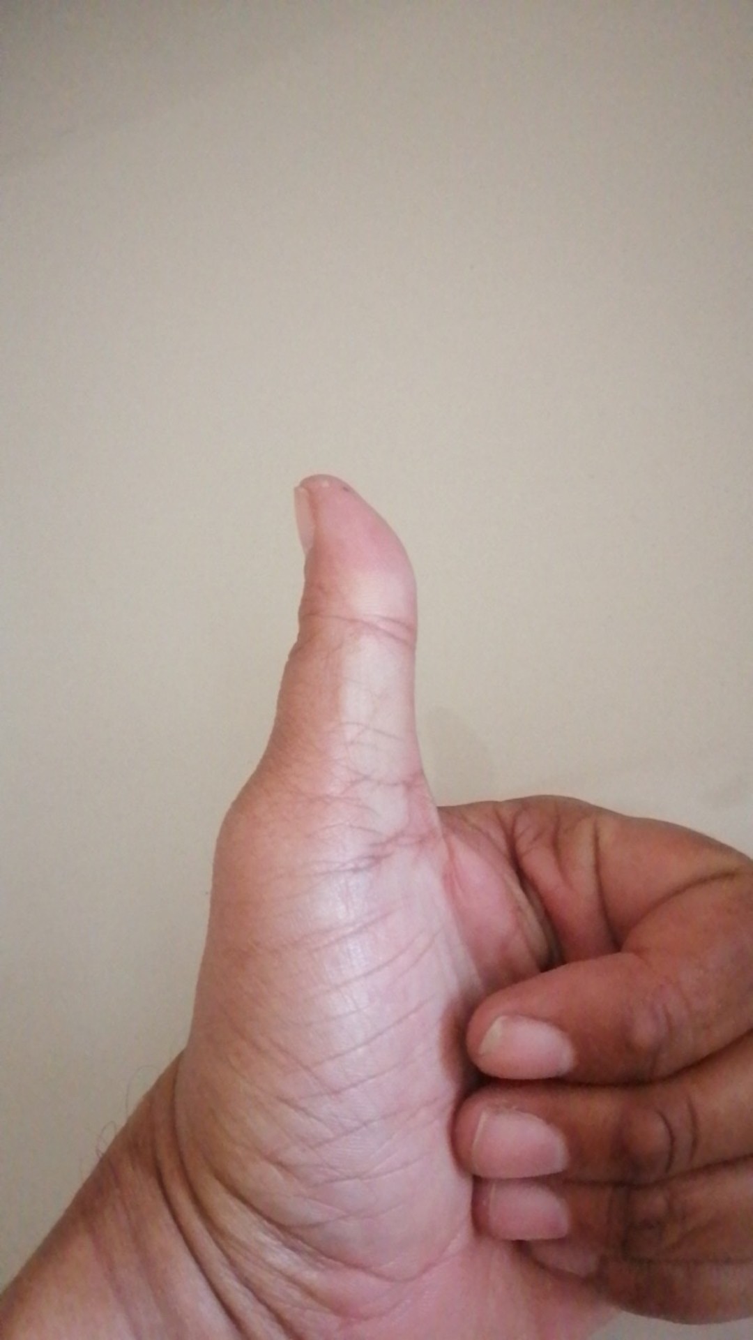 Berkualitas Pisau Carving / Pisau Garnis / Pisau Ukir Buah