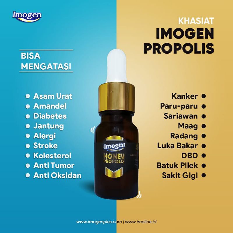 PROPOLIS IMOGEN ASLI 1 BOTOL 10 ML - IMOGEN HONEY PROPOLIS