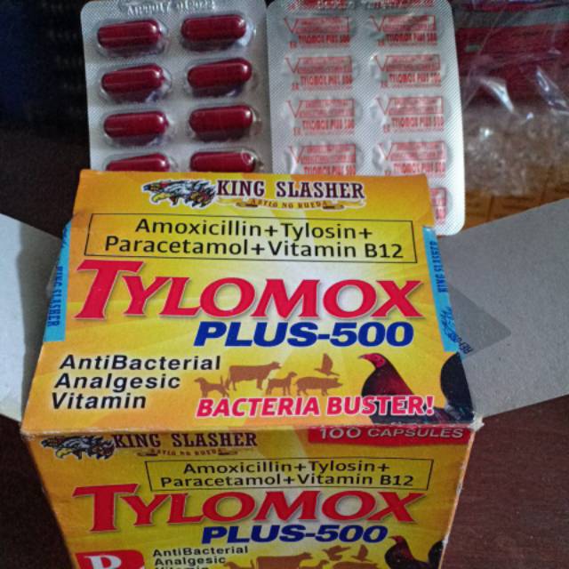 premoxil 550 obat ayam snot vitamin burung pilek spt amtyl