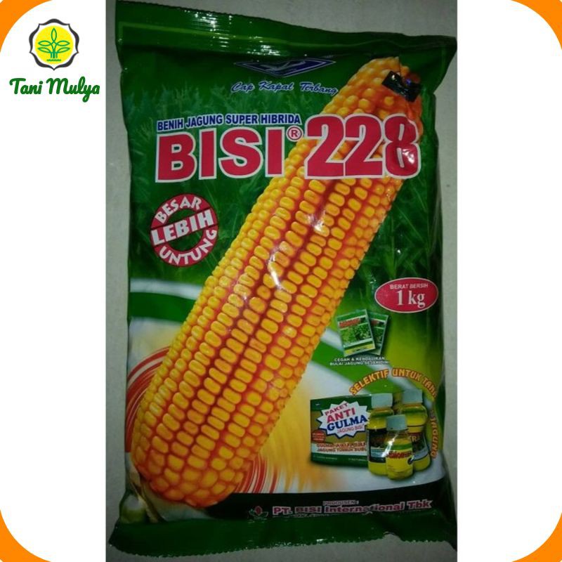 Benih Bibit Jagung Super Hibrida BISI 228