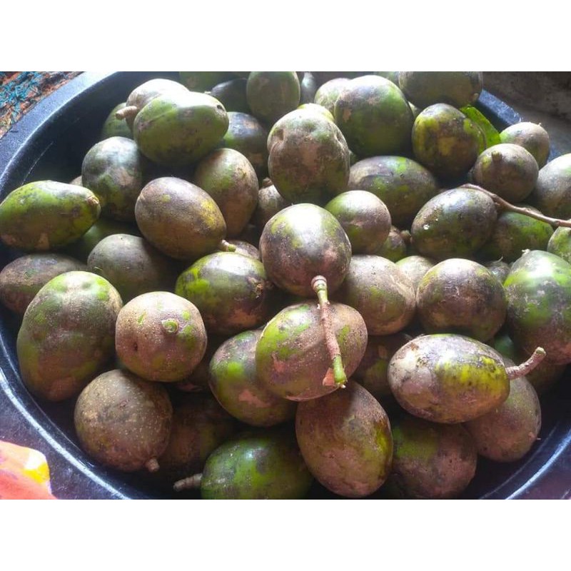 BUAH KEDONDONG SEGAR 1KG