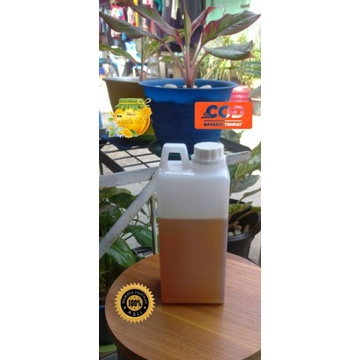 

Madu asli nektar bunga RANDU Original 100% ( best seller )