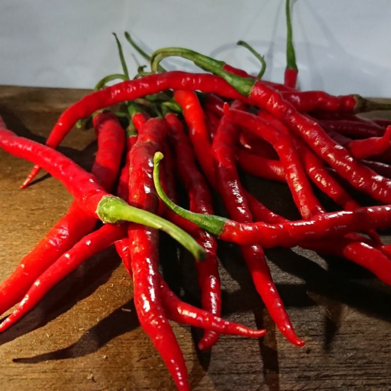 

Cabai merah keriting