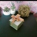 

boxpita7x7x5