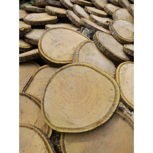 Wood slice 26-28 cm log potongan kayu hiasan dinding dekorasi craft