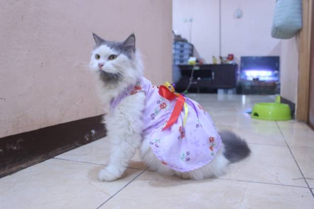 Dress ungu muda motif bunga lucu untuk kucing dan anjing / baju kucing murah size S-XL