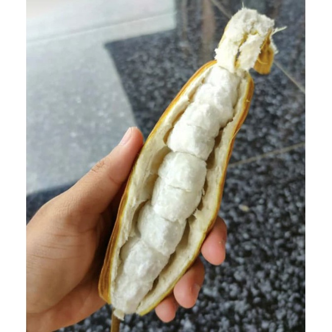 

Buah Salju Manis Asli Bali per Kilogram