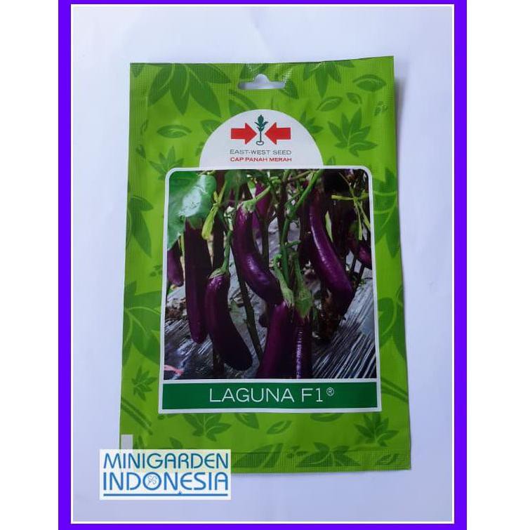 Ini 1 Pack 400 Benih Bibit Sayuran Terong Ungu Laguna F1 Panah Merah Ori Kode 27 Shopee Indonesia