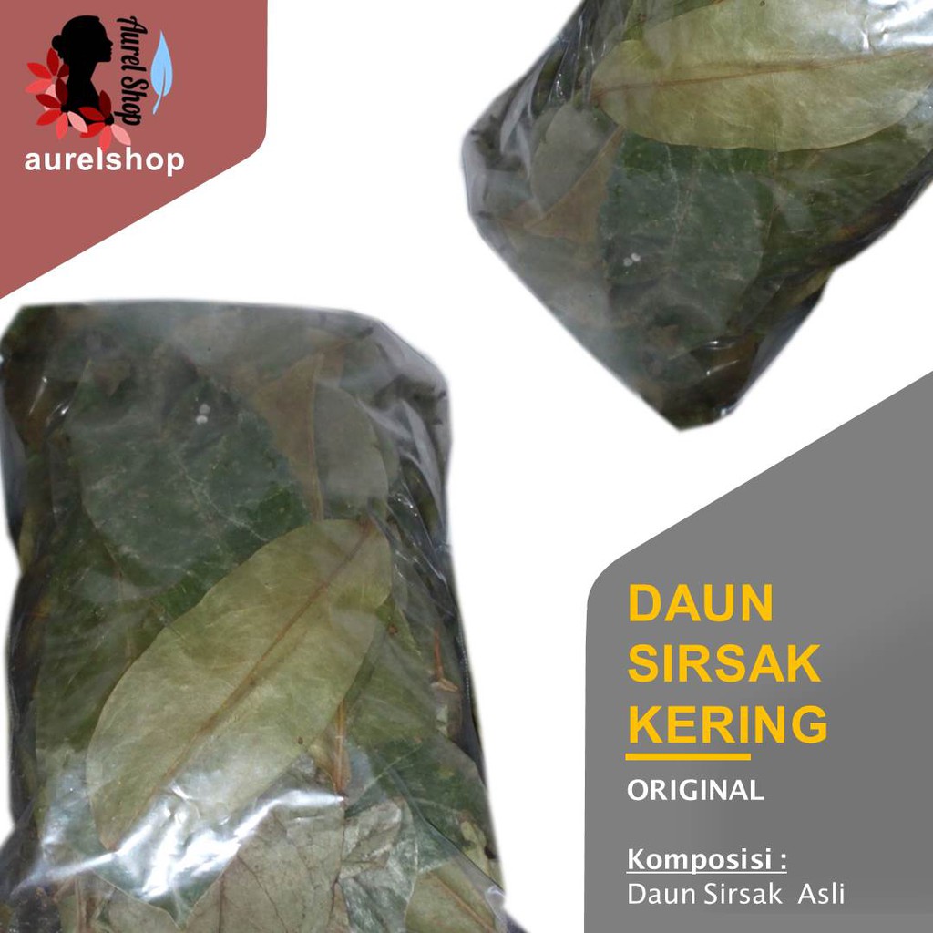 

Daun Sirsak Kering/ Soursop Leaf/ Annona muricata