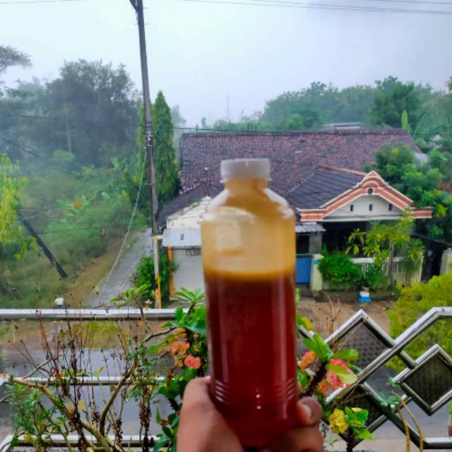 

Madu liar Sumatera 500 ml