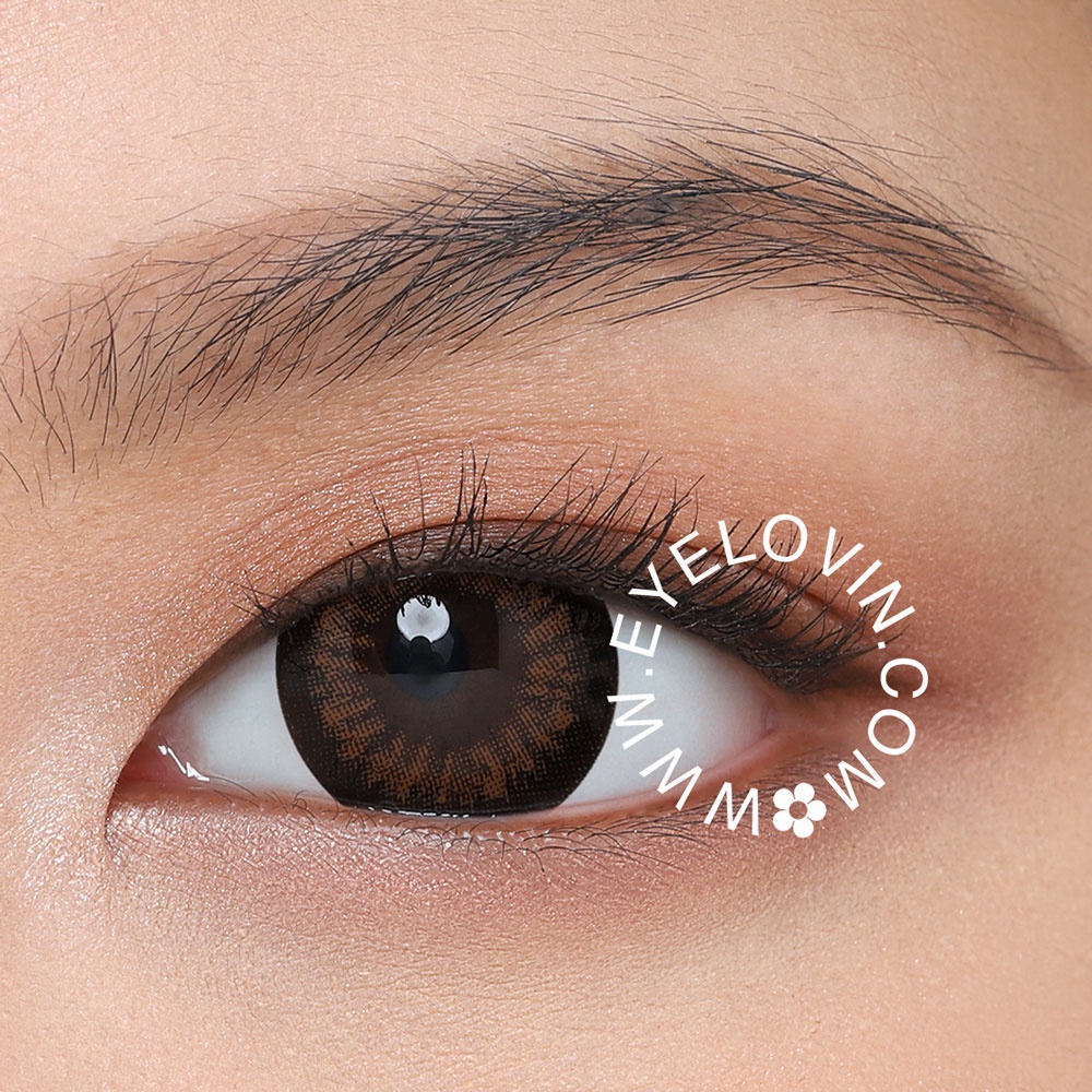 Eyelovin Softlens Mite Clair Pure Moist - Juno Brown