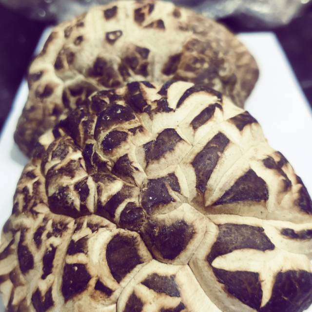 

Jamur hioko shitake xiangku siangku 100gr 100gram