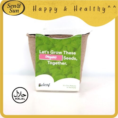 

Sen&Sun Herbs Oregano in Pot Conventional 1 pcs