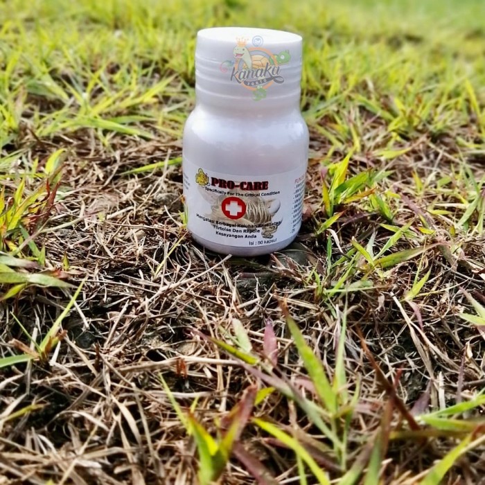 Jkk ProCare Obat Flu Pneumonia Kura