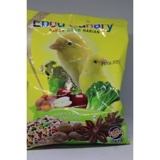 ebod cenary ebod lovebird