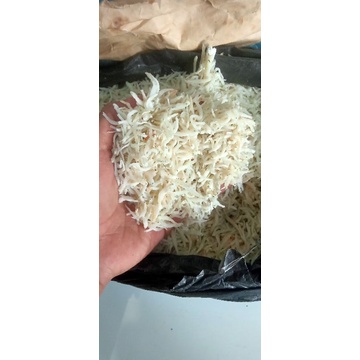 

Teri Nasi