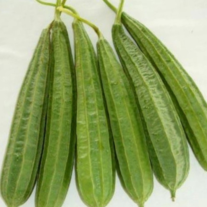 

Oyong 500 gr