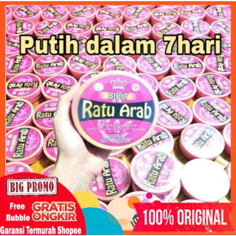 BIBIT RATU ARAB ORIGINAL TERMURAH