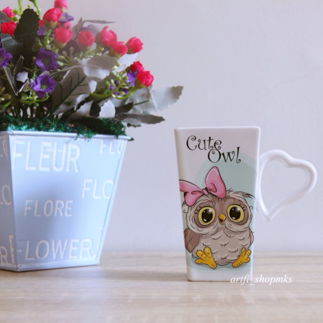 Mug /gelas cute owl