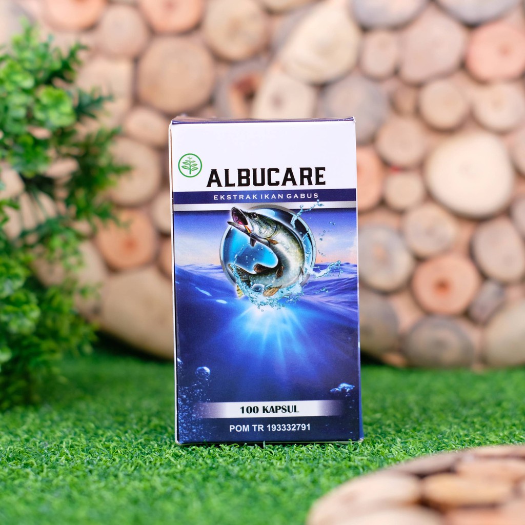 Albucare Obat Luka Bakar Kenalpot Bernanah Luka Operasi Caesar Cepat Kering Isi 100 Kapsul Ikan Gabus BPOM Original