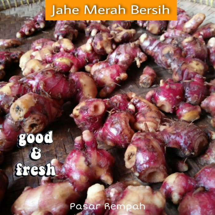 

jahe merah bersih 1kg (BERKUALITAS)