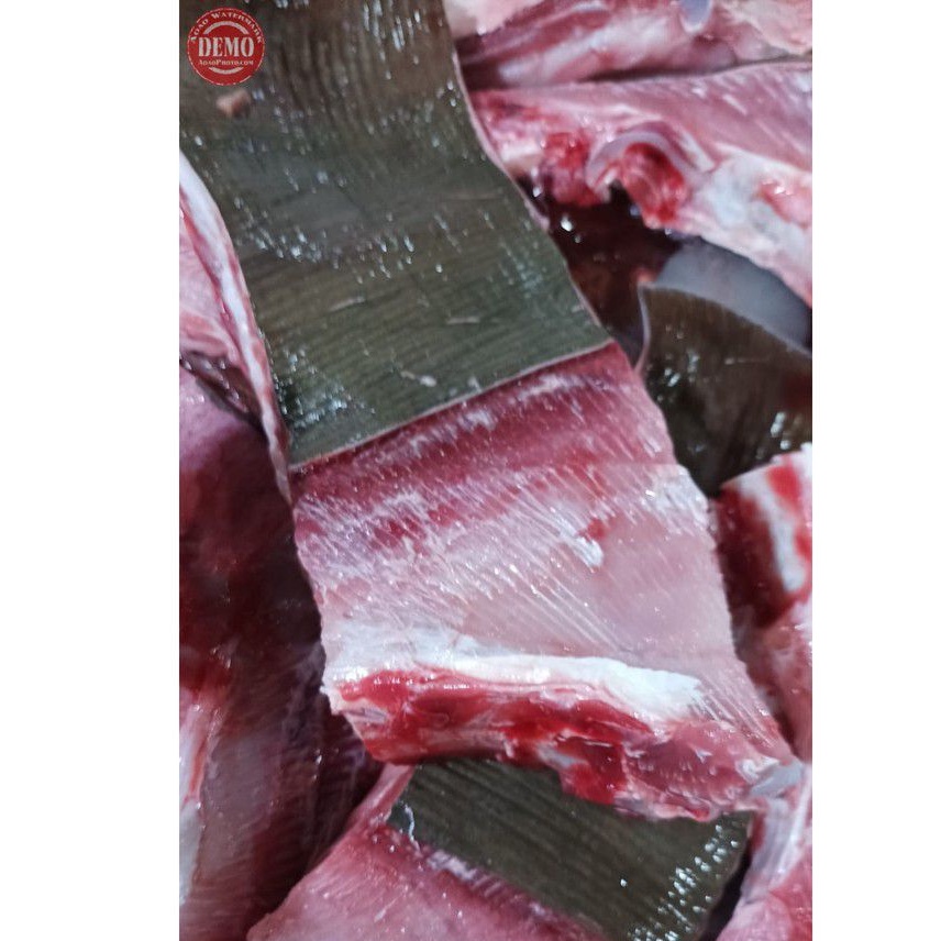 

Ikan Pari Segar Daging Segar Ikan Pari Fillet