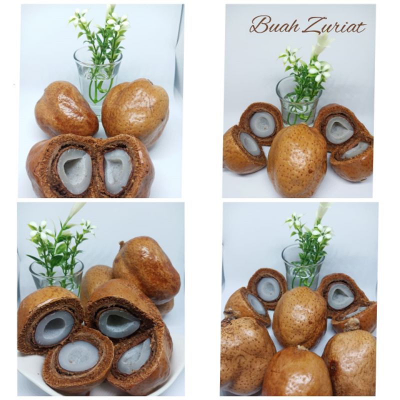 

BUAH ZURIAT