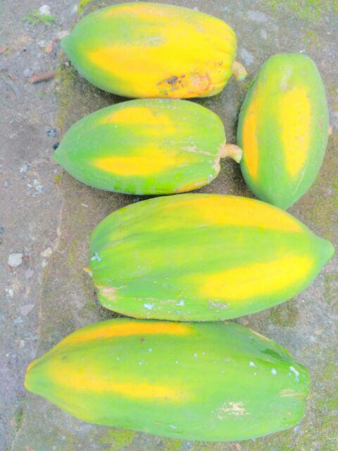 Sprei Vallery Quincy Polos Embos 180x200 Golden King Size