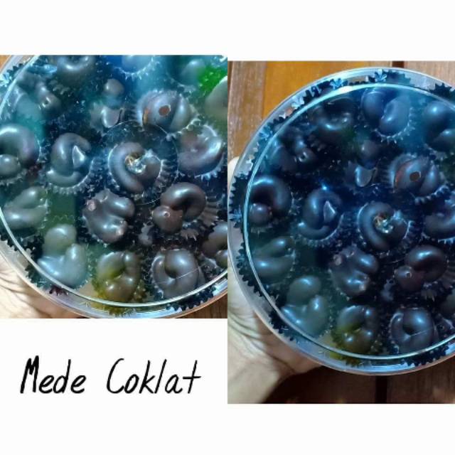 

Aneka Mede / Mede Coklat / Mede vanila / Kue Kering