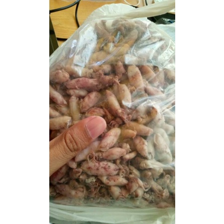 

baby cumi kering lembab 2 - 4 cm 1 kg