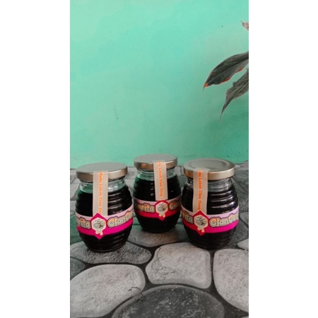 

Madu Lebah Klanceng Murni
