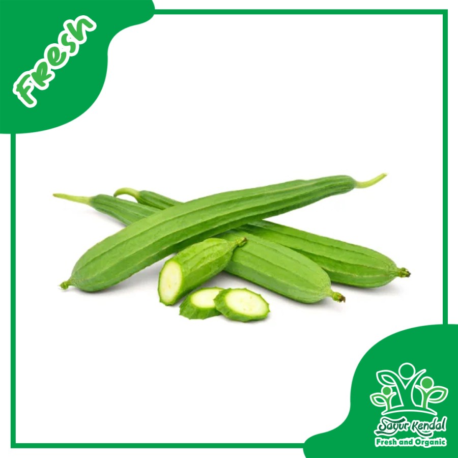 

Fresh Oyong Segar Organik - SayurKendal