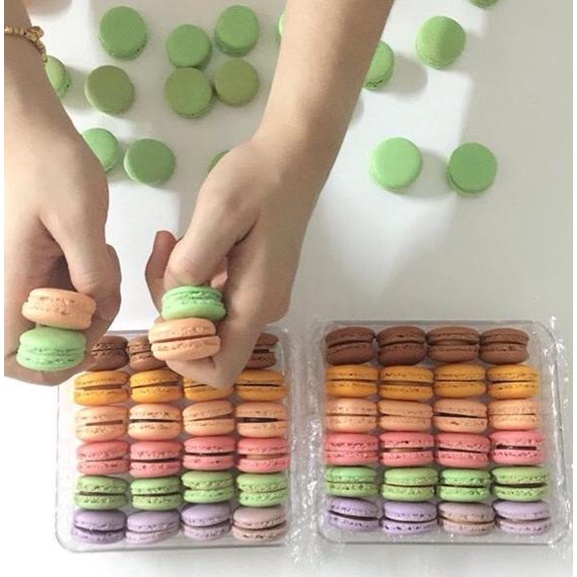 

QDWT Baby Macaroon KIRIM INDONESIA 806PUQY