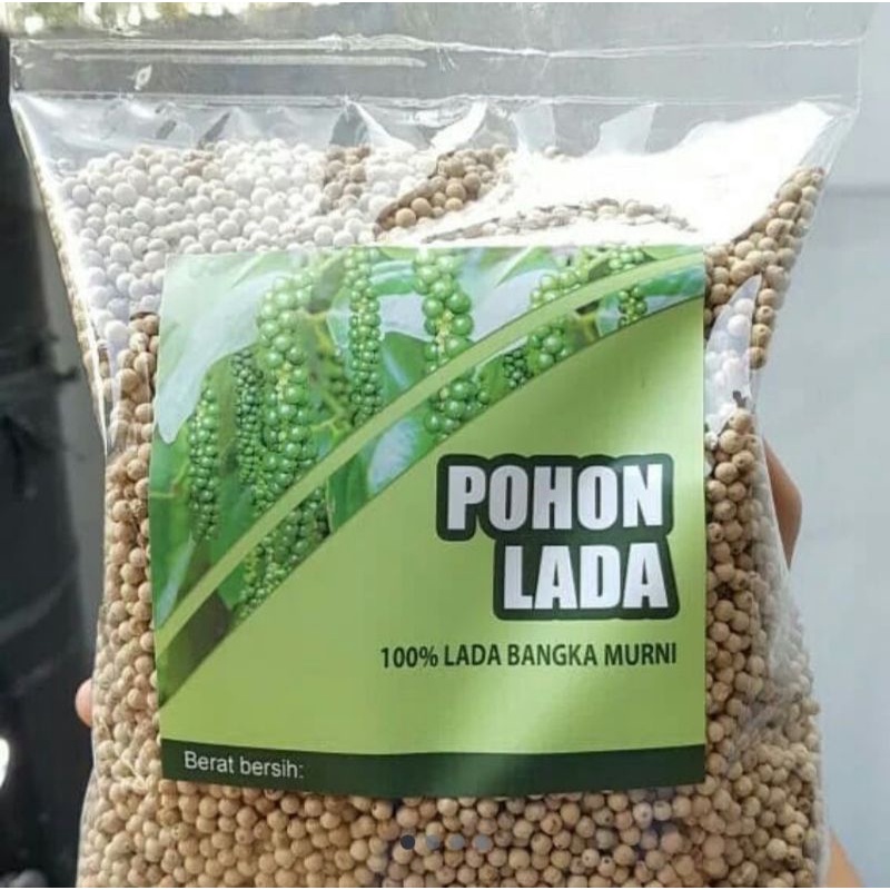 

Lada Putih Butir 500 gr / 1 kg asli Bangka - Pohon Lada