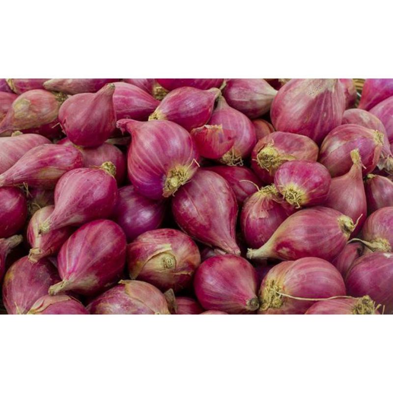 

BAWANG MERAH PILIHAN KEMASAN 100 GR