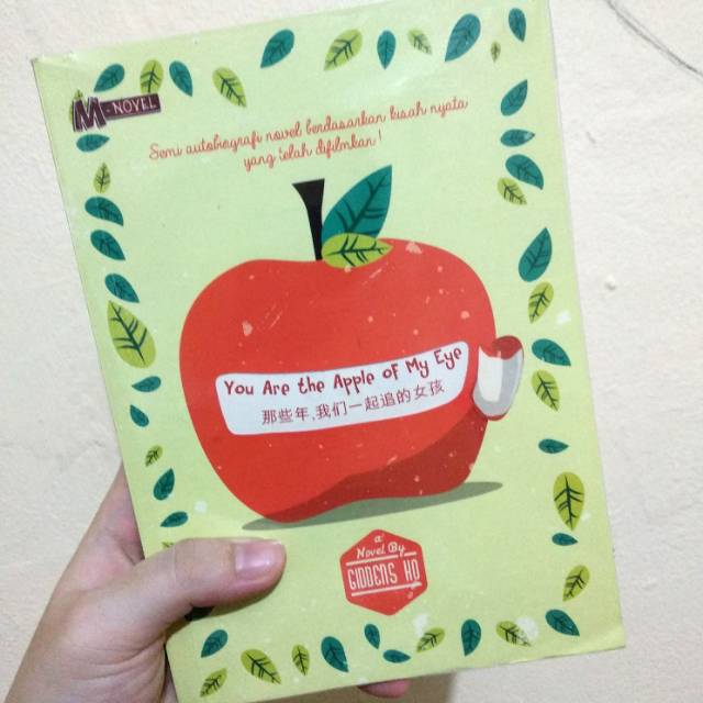 Novel You Are The Apple of My Eye
