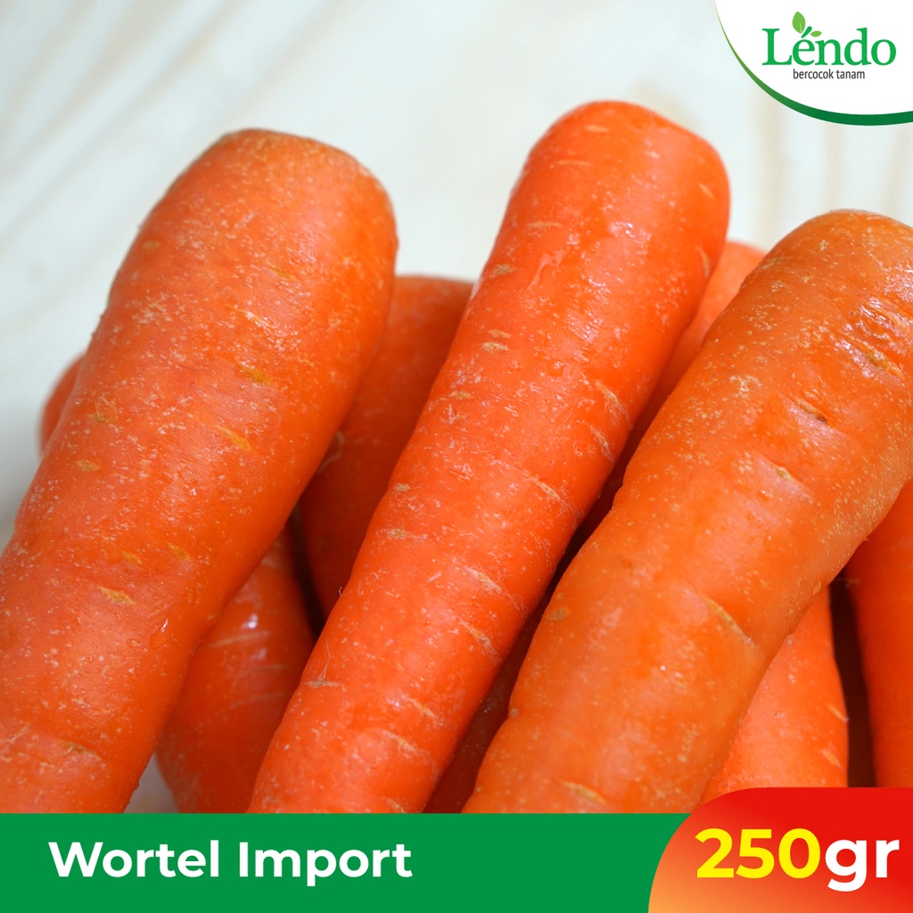 

Wortel Import