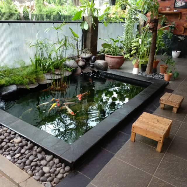 Kolam koi ikan hias | Shopee Indonesia