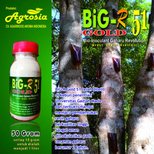 BiG-R Gold 51 - Inokulan Organik Gubal Gaharu Super - Non Fusarium - 50 gram