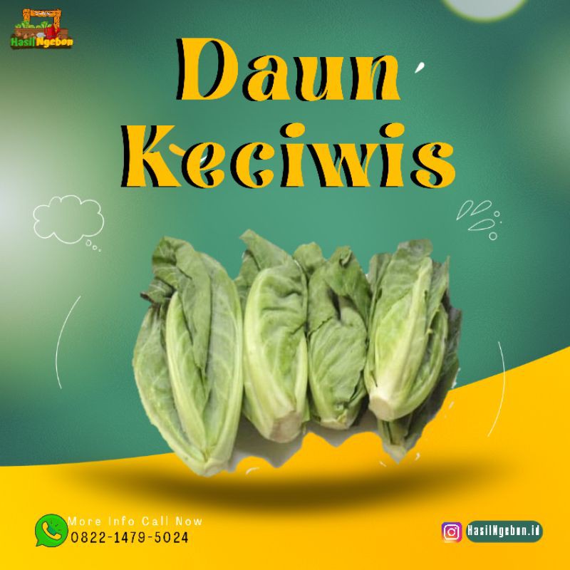 

DAUN KECIWIS 250GR